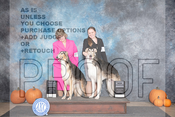 Borzoi #18 #7 Fri NCH NGCH Judge Ann Roth__JP_8698_Humble_2024_HR3