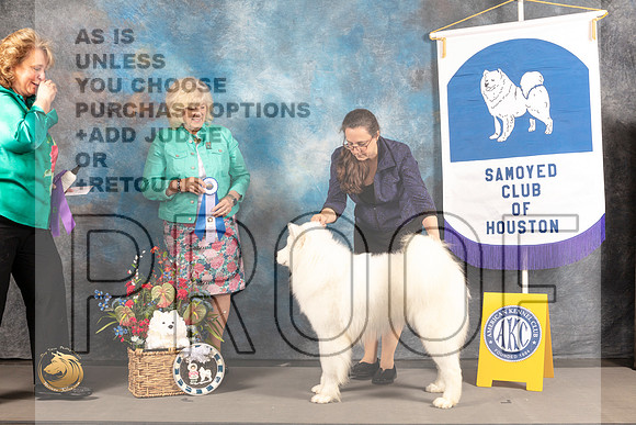 Samoyed #15 Wed BOW Judge Karen McFarlen_MJ_2824_Houston_2022_HR3