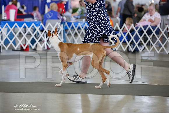 _JJ_4954-DallasJul2014-HR3