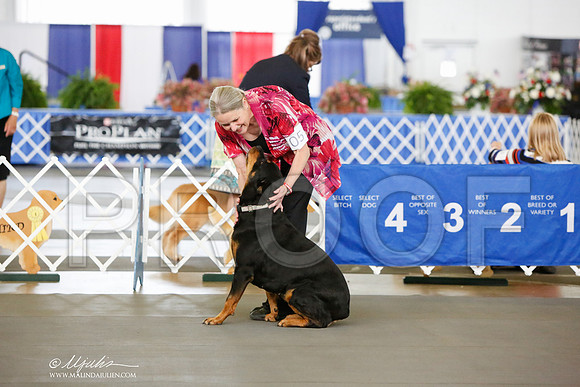 _JN_8246-DallasJul2014-HR3