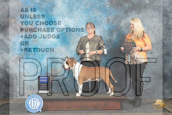 American Staffordshire Terrier #5 Sat G1 Judge Gerard Penta__JP_3778_Lubbock_2024_HR3