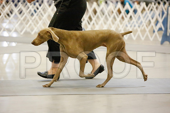 _JJ_2031-AmarilloSept2014-HR3