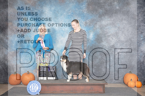 Miniature American Shepherd #14 Sat WBBOS NCH Judge Jan Paulk__JP_8666_Humble_2024_HR3