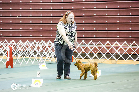 _JJ_2878-BsrCtyJun2014-HR3
