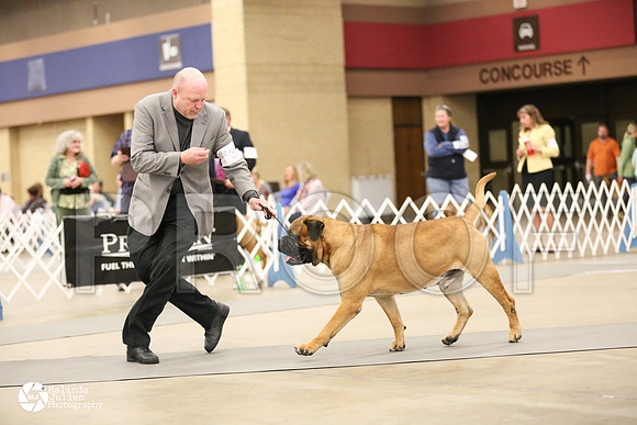 bullm-1252-FWMar14-HR3