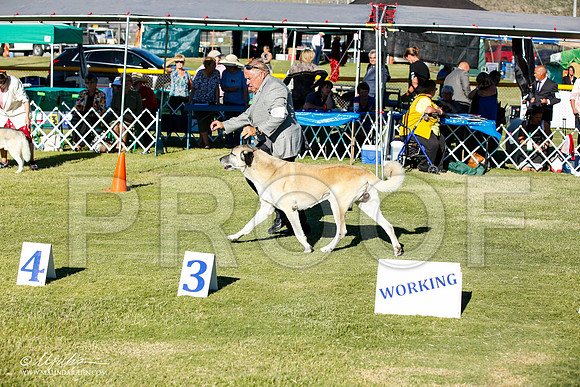 _JN_9849-AlamogordoOct2014-HR3