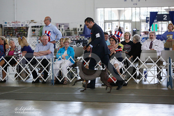 _JJ_2413-DallasJul2014-HR3