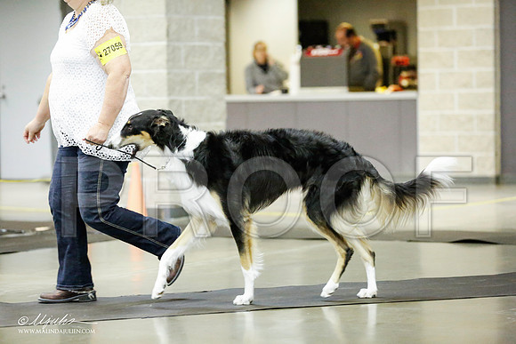 _RH_1321-BeltonJan2015IABCA-HR3