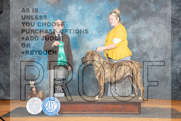 Boerboel #6 Sun G2 Judge Tim Robbins__JP_8698_MARSHALL_2024_HR3