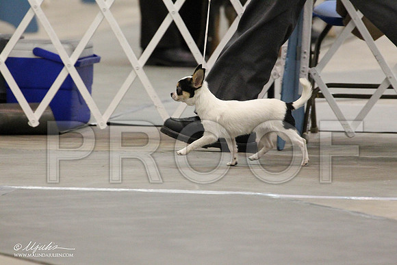 IMG_7289-Abilene2011-HR3