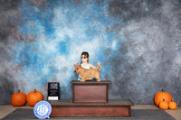 Norwich Terrier #6 Sat WBBOBM Judge Ann Roth