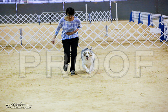 _JN_7812-ASCACollegeStationNov2014-HR3