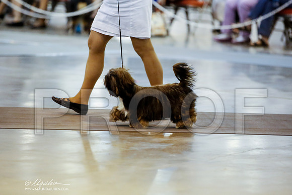 _JN_6252-HstnJul2014-HR3