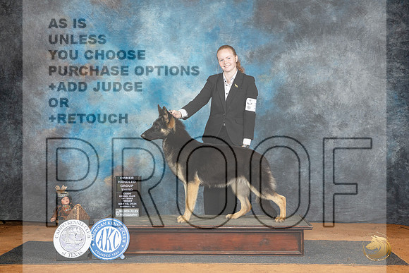German Shepherd Dog #10 Sat WBBOWBOBOHBOBOHG3 Judge Sheryl Kendrick__JP_8294_MARSHALL_2024_HR3