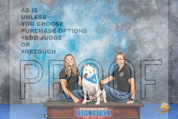 CUSTOM Adoption__JP_6465_Houston_2024_HR3