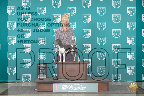 Rat Terrier #1139 Sat Judge Corianna Glen__JP_2309_Premier_2024_HR3