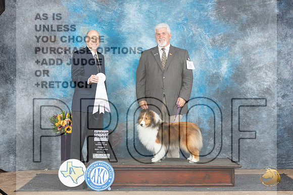 Shetland Sheepdog #16 Fri G4 Judge Larry Abbott__JP_0055_Abilene_2024_HR3