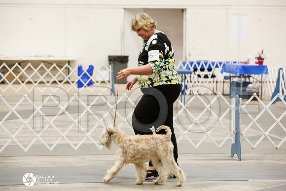 _CK_8546-AblnMay2014-web