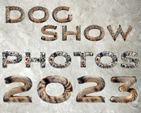 2023 Dog Shows
