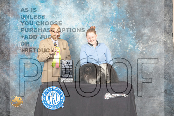 Pekingese #J750 Sat BJr Judge Bradley Jenkins_MJ_0162_HstnTOY_2022_HR3