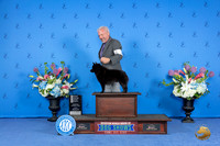 Schipperke #5 FRI OHG4 Judge Douglas Johnson
