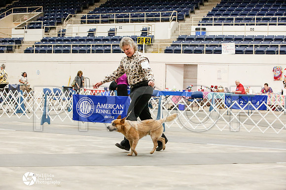 _JJ_9587-AblnMay2014-web