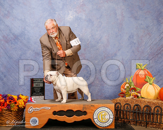_CL_4585-3-SanAngelo2014-HR3