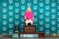 Pug #753 Thur T10BOB Judge Sharon Griffin