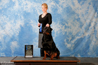 Rottweiler #15 Sun Beginner Novice 1st Callahan Ann