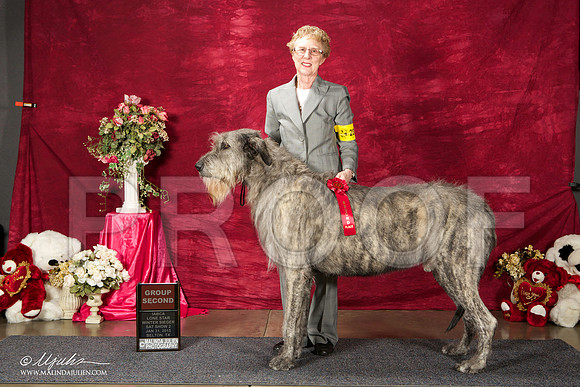 _ST_2584-BeltonJan2015IABCA-HR3