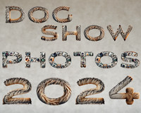 2024 Dog Shows