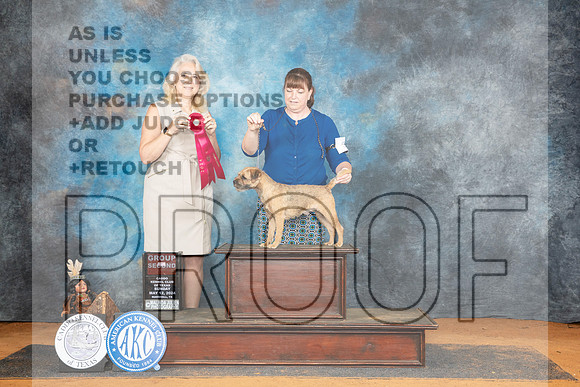 Border Terrier #5 Sun G2 Judge Pamela Wilson__JP_8893_MARSHALL_2024_HR3