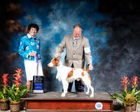 Brittany #25 Thurs WD BOW NC MAJ Judge Barbara Alderman