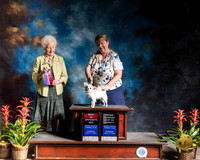 Chihuahua Long Coat #11 Thurs BOS Judge Paula Hartinger