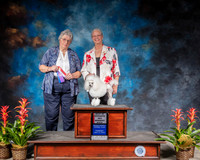 Poodles Toy #16 Thurs BOS WD Judge Joy Brewster