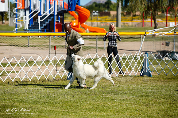 _JJ_9877-AlamogordoOct2014-HR3