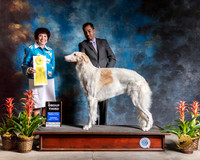 Borzois #8 Thurs G3 Judge Barbara Alderman