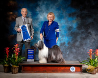 Tibetan Terrier #5 Thur G1 Judge Roger Hartinger