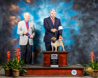 Pug #26 Fri NC WB Judge Roger Hartinger
