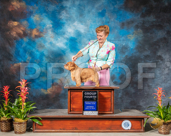 SSR_0568-SanAntonio2019-HR3