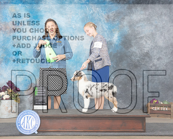 Minature American Shepherd #6 Sun OHG2 Judge Joan Liebes-_JP_8121e_Belton2024-HR3