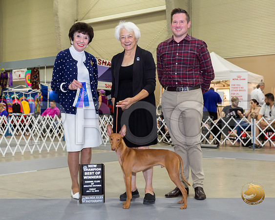 Cirnechi Det #5 Fri BOW Nc Judge Barbara Alderman_JJJ_8020-SA2019-HR3