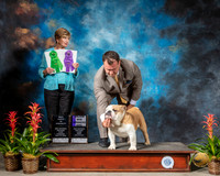 Bulldog #26 Fri SB Judge Beverly Staley