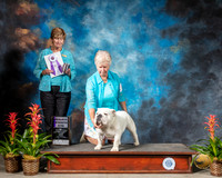 Bulldog #9 Fri RWDS Judge Beverly Staley
