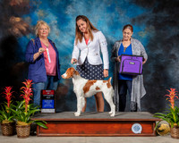 Brittany #12 Fri BOS Judge Carol Moser