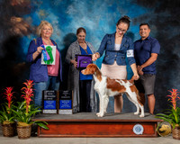 Brittany #17 Fri WD MAJ Best P Judge Carol Moser