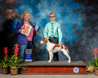 Brittany #J501 Fri BJR Judge Carol Moser