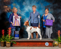 Brittany #7 Fri BISS Judge Carol Moser