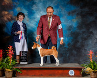 Basenji #12 Fri MAJ WD NC Judge Barbara Alderman