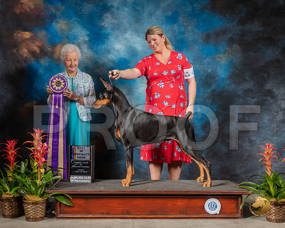SSR_0797-SanAntonio2019-HR3